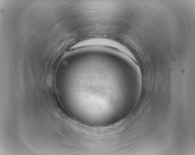 X0000088900035200706291515