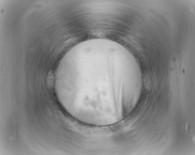 X0000088900036200706291515