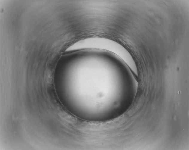 X0000088900037200706291515