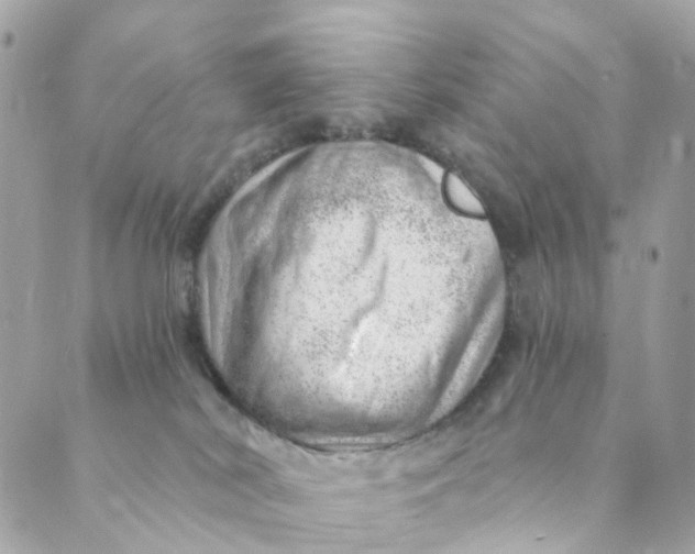 X0000088900038200706291515