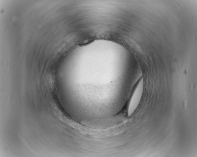 X0000088900039200706291515