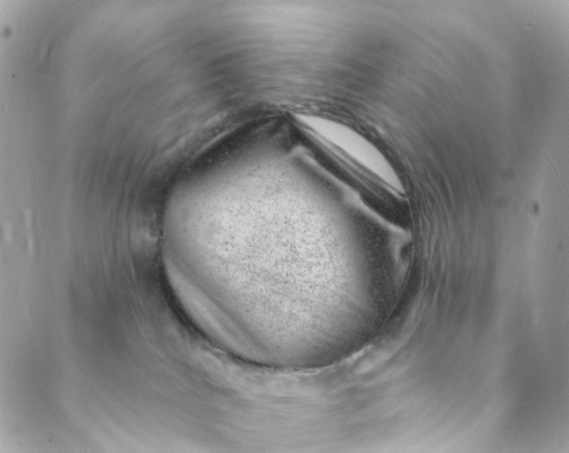 X0000088900040200706291515