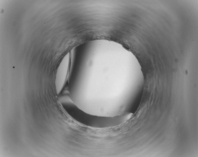 X0000088900041200706291515