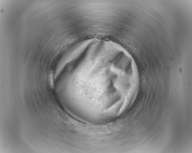 X0000088900042200706291515