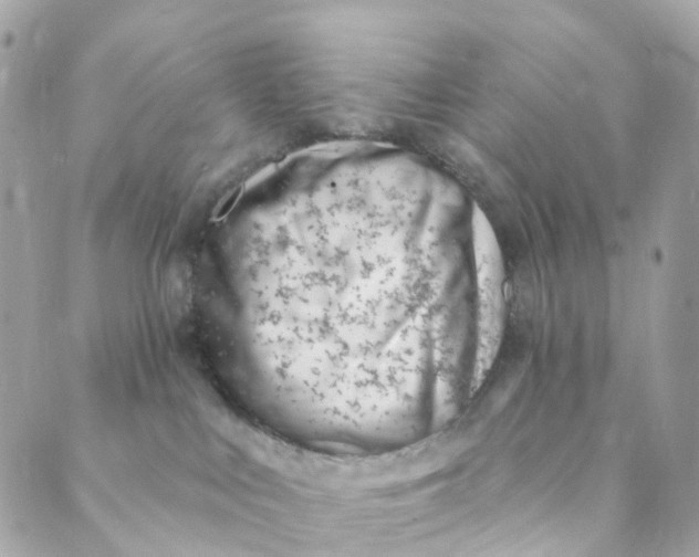 X0000088900043200706291515