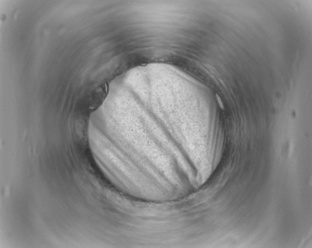 X0000088900044200706291515