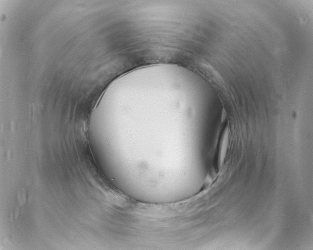 X0000088900045200706291515