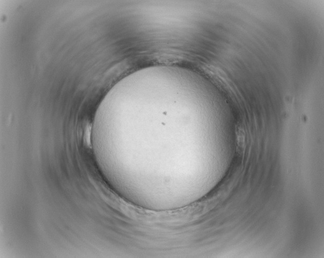 X0000088900046200706291515