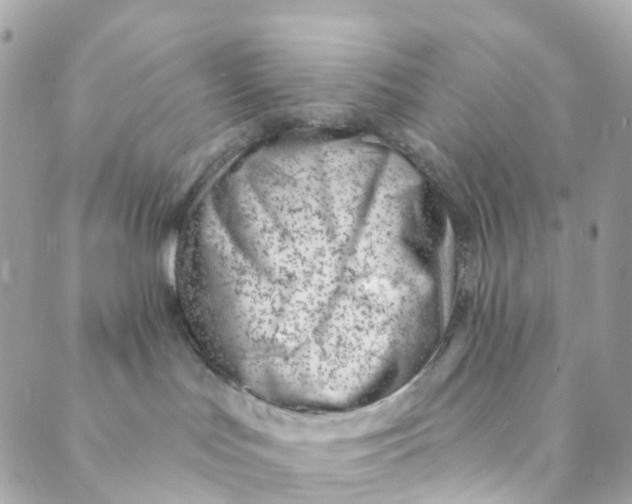 X0000088900047200706291515