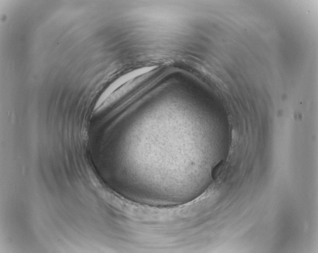 X0000088900048200706291515