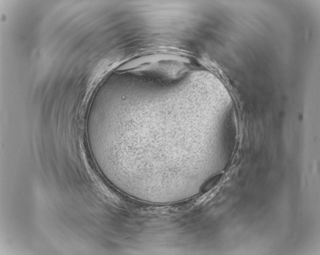 X0000088900049200706291514