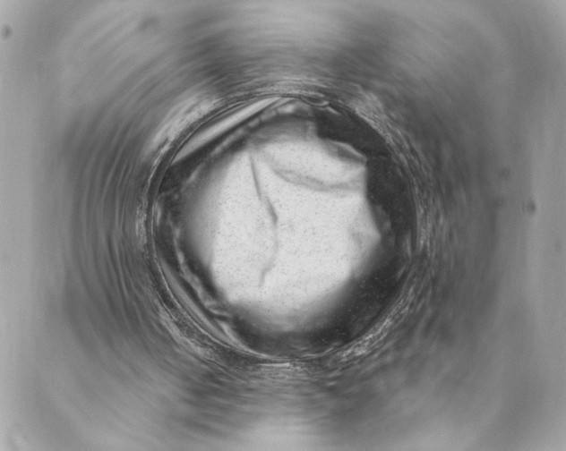 X0000088900050200706291514