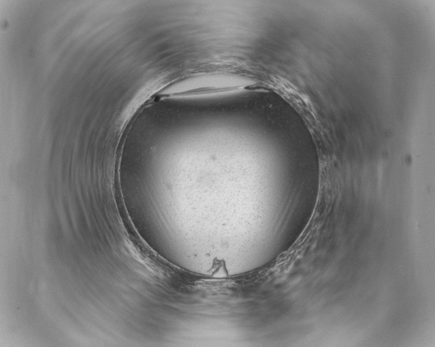 X0000088900051200706291514