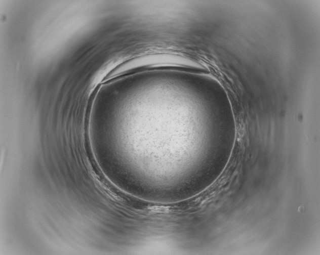 X0000088900052200706291514