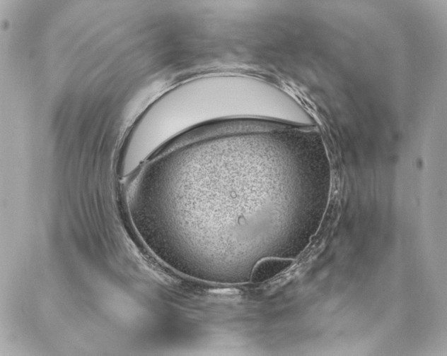 X0000088900053200706291515