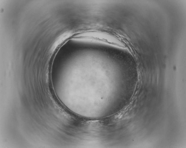 X0000088900054200706291515