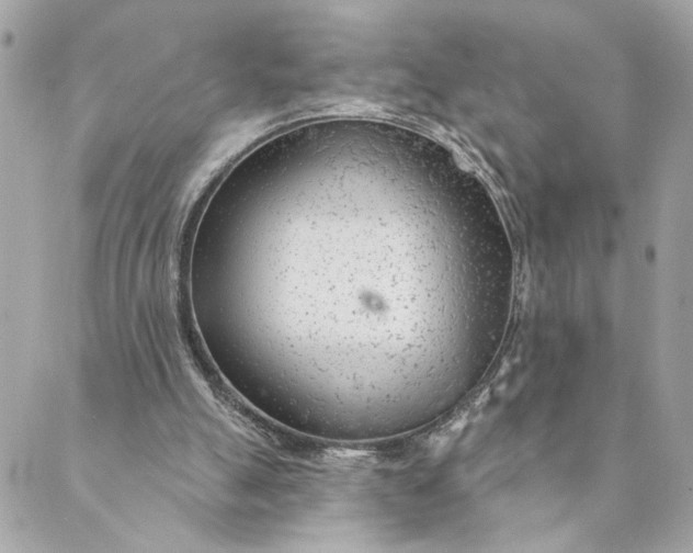 X0000088900055200706291515