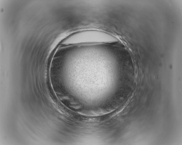 X0000088900056200706291515