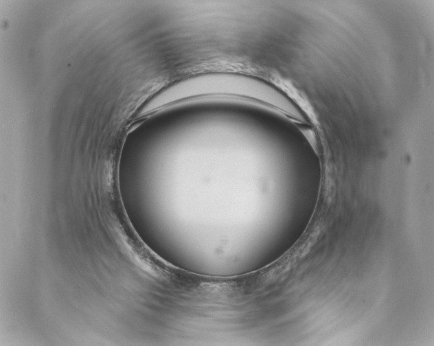 X0000088900057200706291515