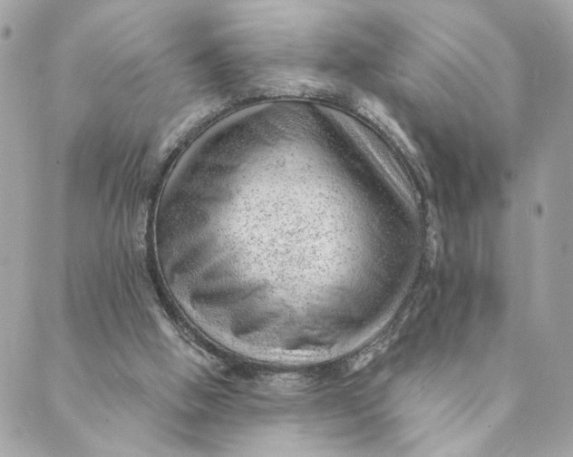 X0000088900058200706291515