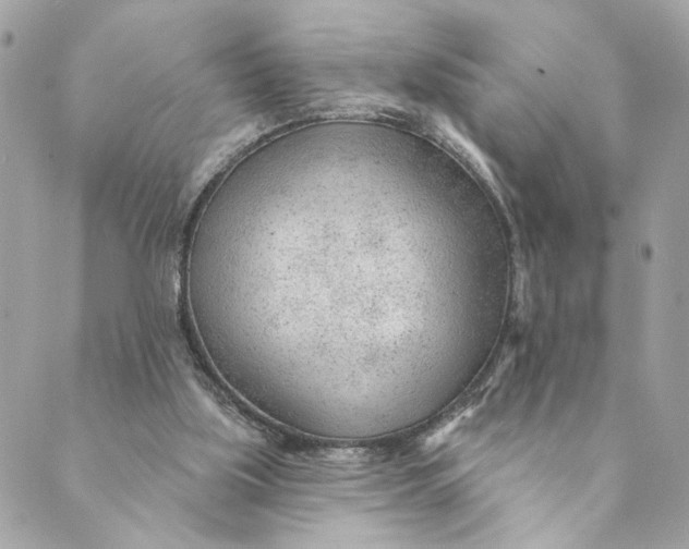 X0000088900059200706291515