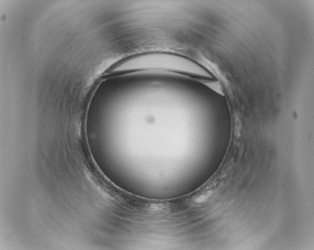 X0000088900060200706291515