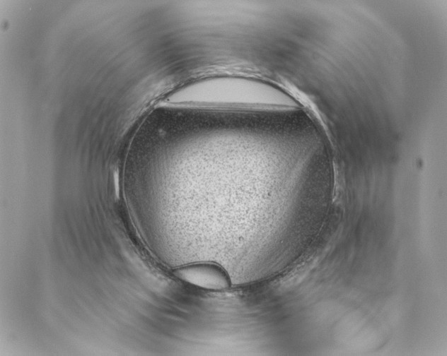 X0000088900061200706291515