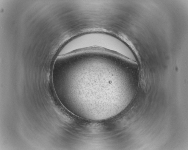 X0000088900063200706291515