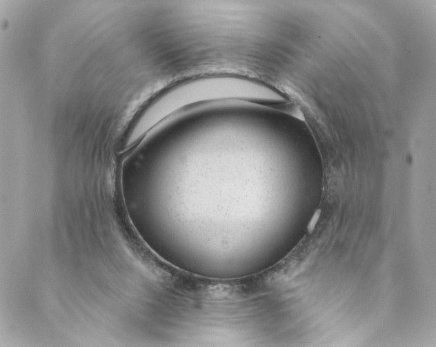 X0000088900064200706291515