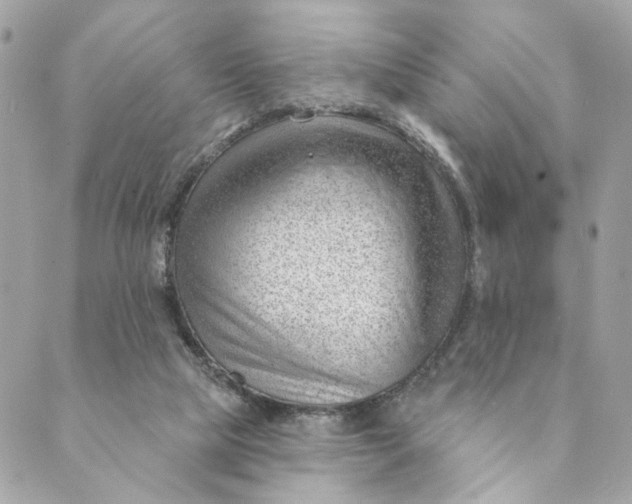 X0000088900065200706291515