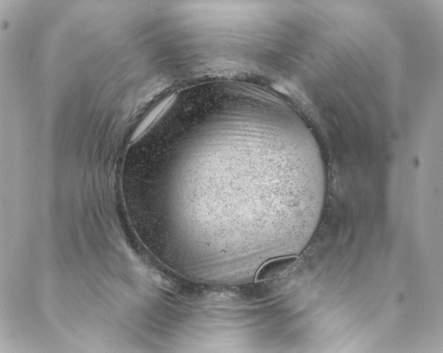 X0000088900066200706291515