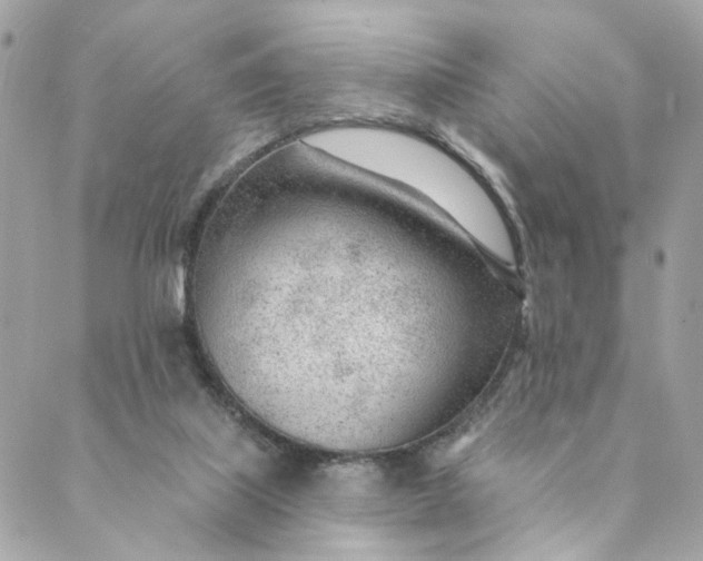 X0000088900067200706291515