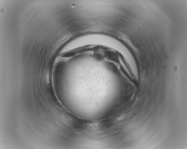 X0000088900068200706291515