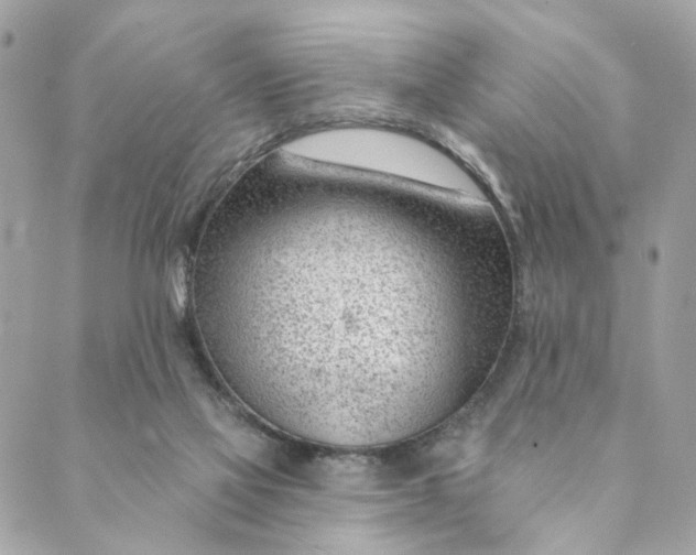 X0000088900069200706291515