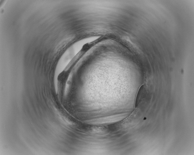 X0000088900070200706291515