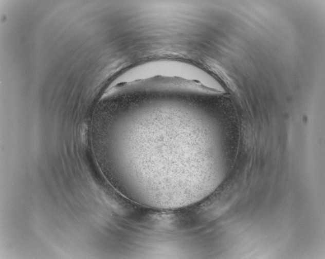 X0000088900071200706291515