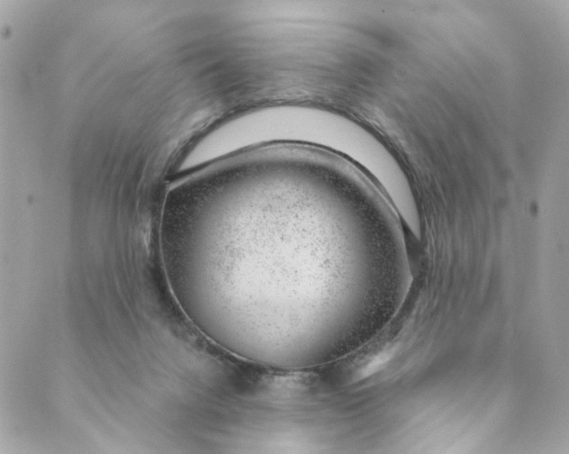 X0000088900072200706291515