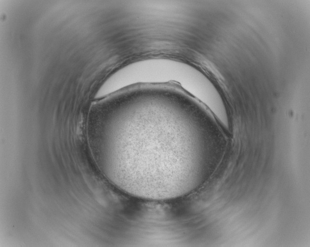 X0000088900073200706291515