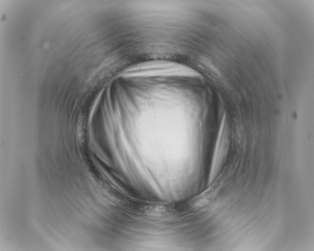 X0000088900074200706291515