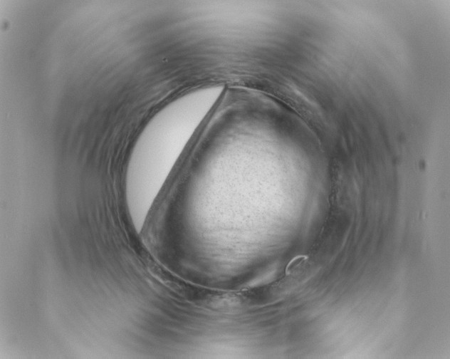 X0000088900075200706291515