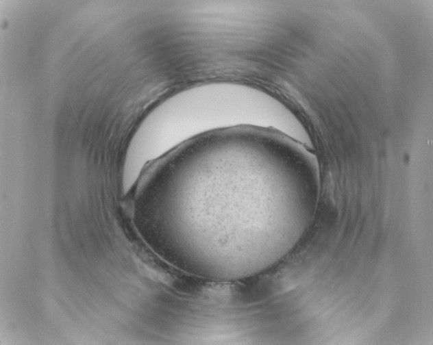 X0000088900076200706291515