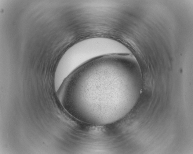 X0000088900077200706291515