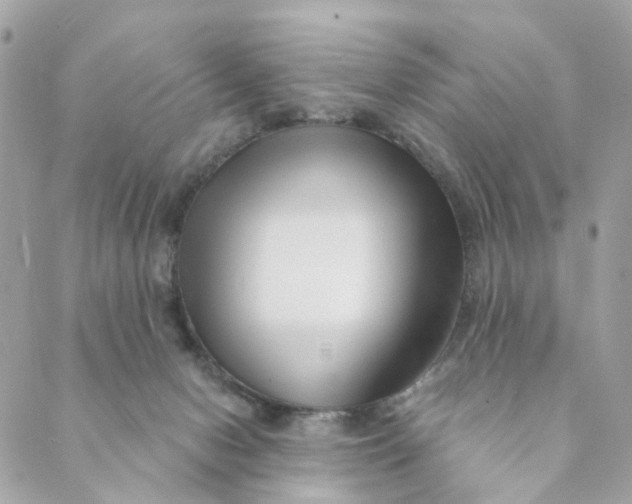 X0000088900078200706291515