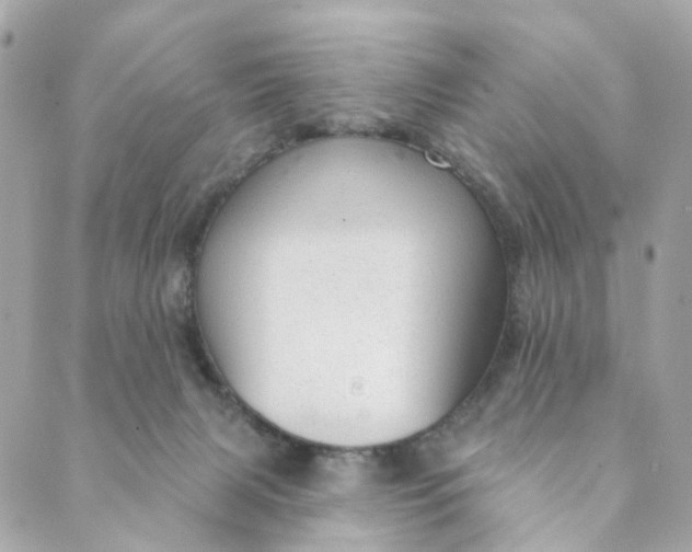 X0000088900079200706291515