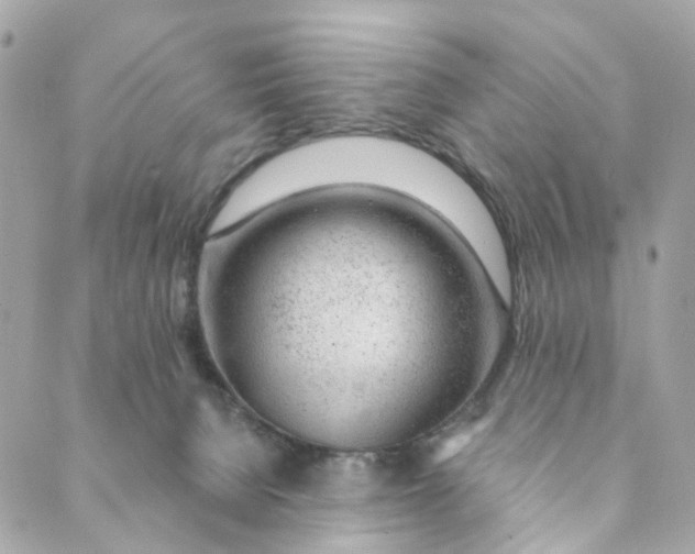 X0000088900080200706291515