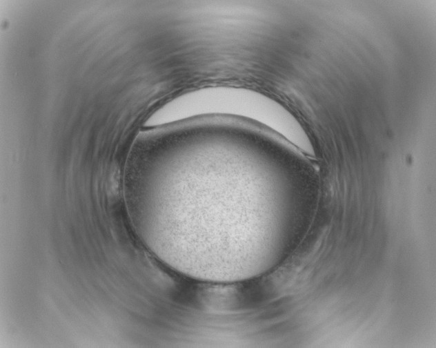 X0000088900081200706291515