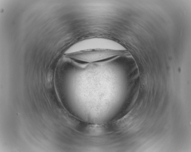 X0000088900082200706291515