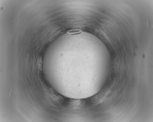 X0000088900083200706291515