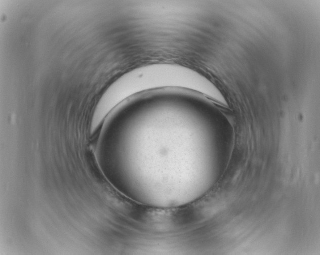 X0000088900084200706291515