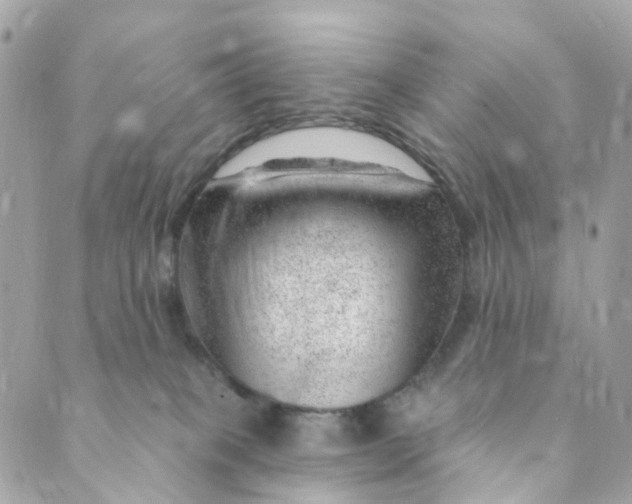 X0000088900085200706291515